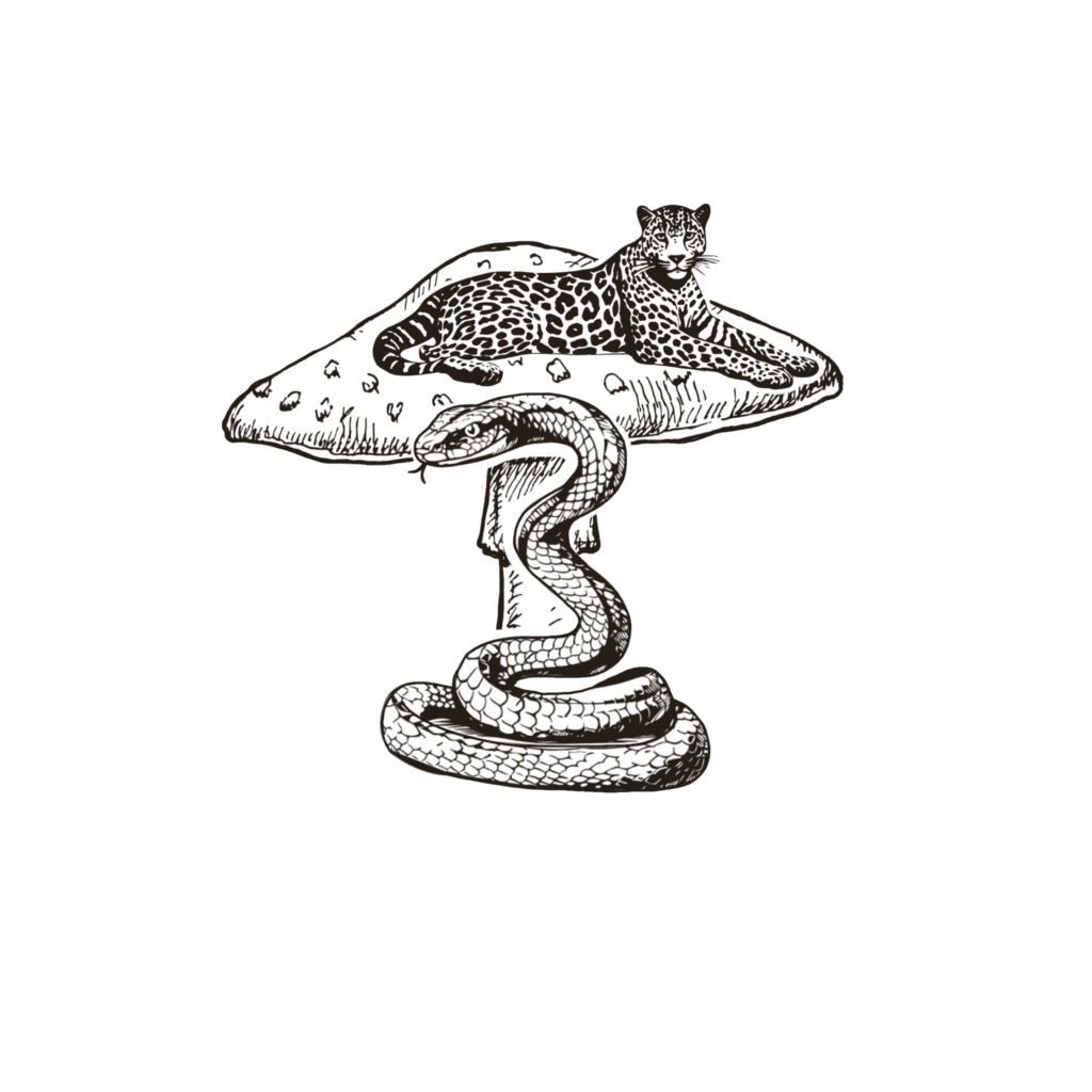 CeceTay Productions Tampa Professional Photographer, professional videographer. wedding photographer